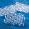 96-well Clear Flat Bottom Polystyrene Not Treated Microplate